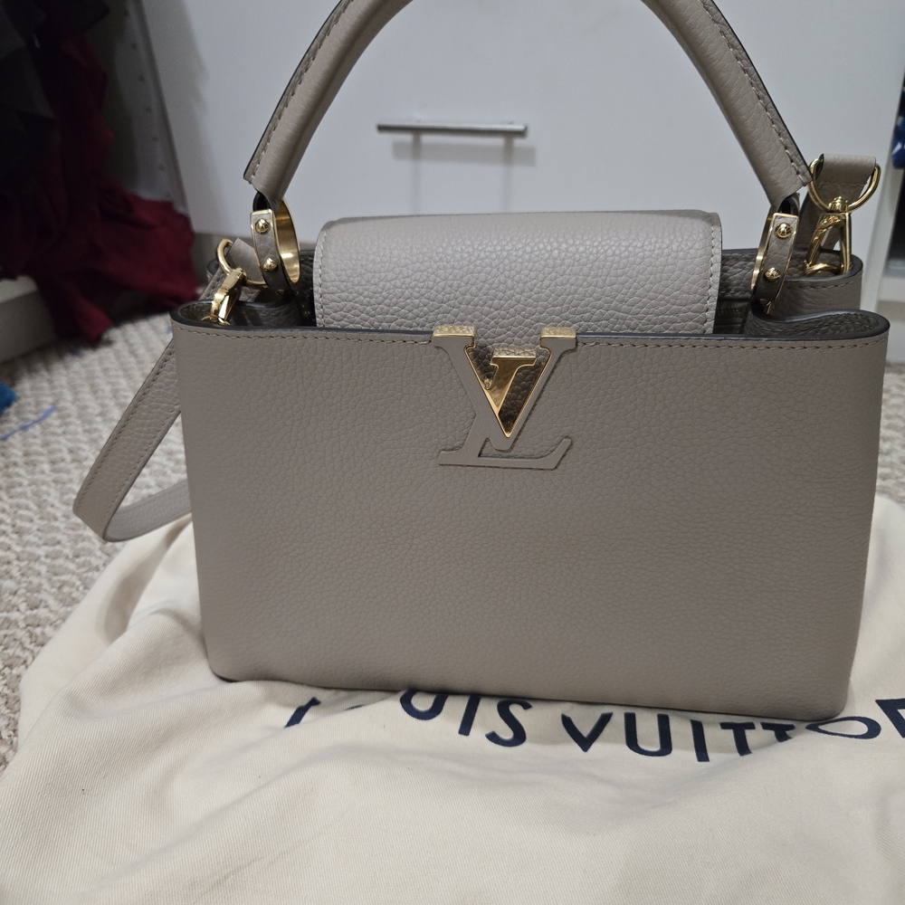 Louis Vuitton Gray Taurillon Leather Handbag